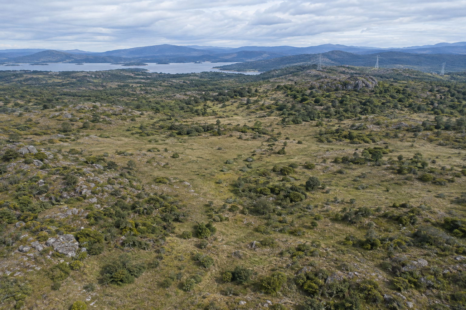 Baseline aerial observation before road construction